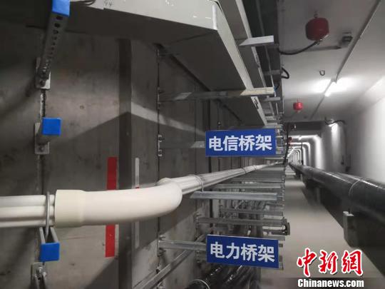 圖為綜合地下管廊待安裝區域的不同類型橋架?！「呖档?攝